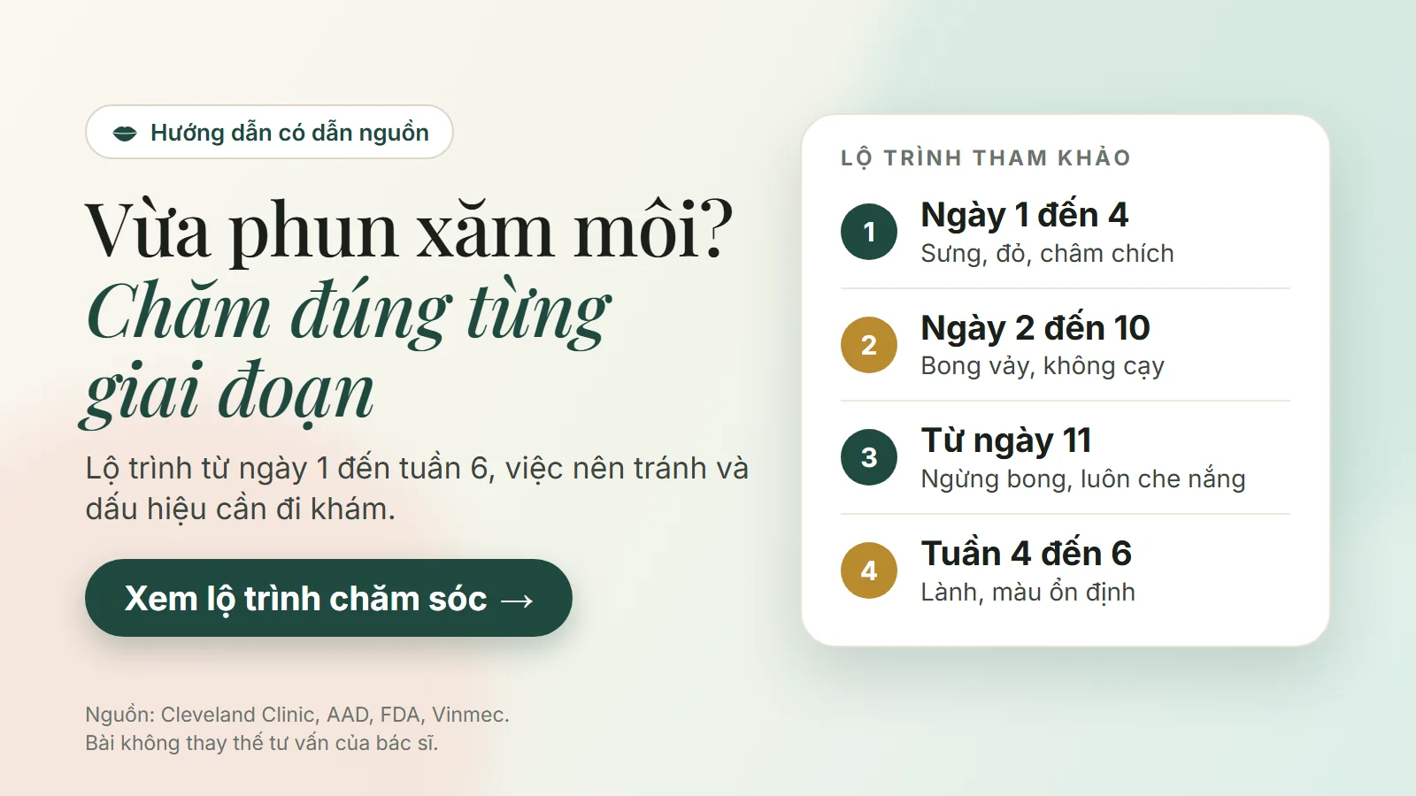 Vừa phun xăm môi? Chăm đúng từng giai đoạn: lộ trình từ ngày 1 đến tuần 6, việc nên tránh và dấu hiệu cần đi khám, có dẫn nguồn