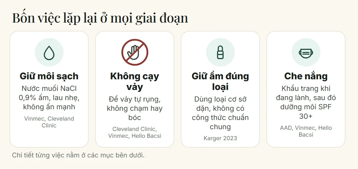Bốn việc chăm sóc môi sau phun xăm lặp lại ở mọi giai đoạn: giữ môi sạch, không cạy vảy, giữ ẩm đúng loại và che nắng