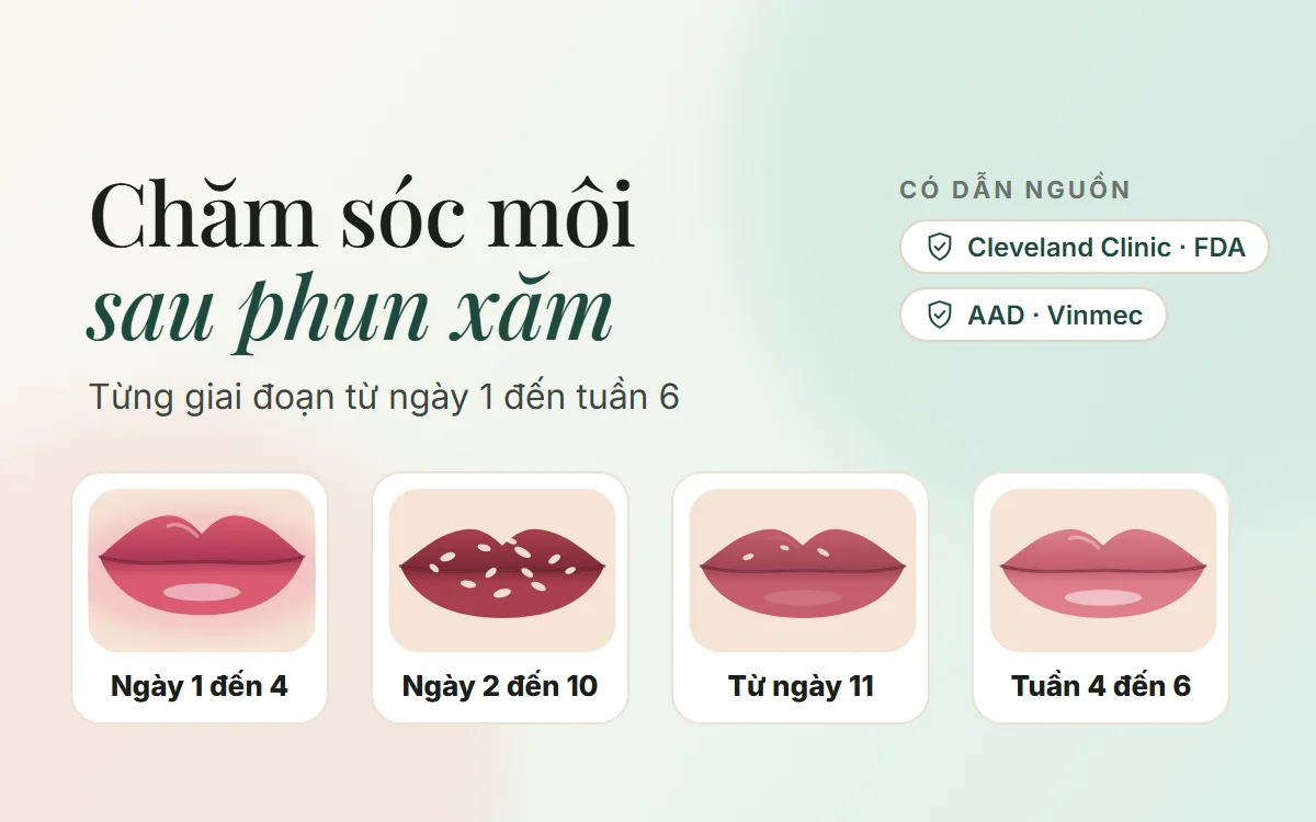 Chăm sóc môi sau phun xăm: lộ trình từng giai đoạn từ ngày 1 đến tuần 6
