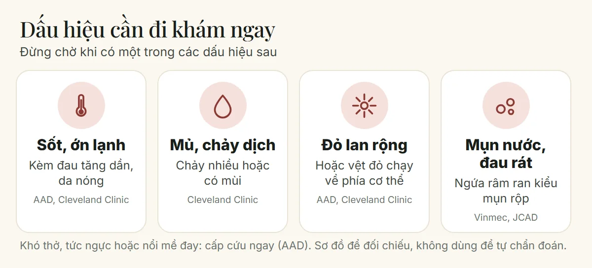 Bốn dấu hiệu môi sau phun xăm cần đi khám ngay: sốt hoặc ớn lạnh, mủ hoặc chảy dịch, đỏ lan rộng, mụn nước đau rát