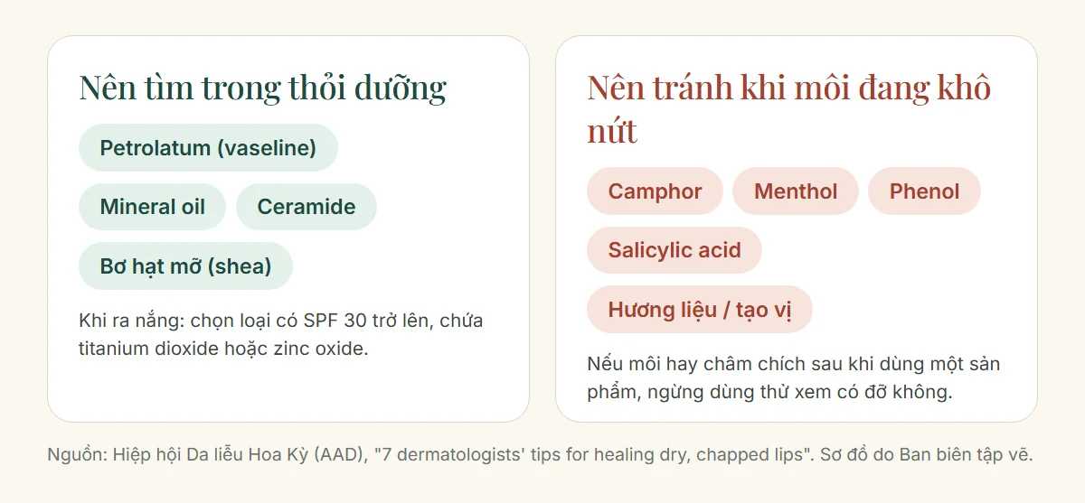 Thành phần nên tìm và nên tránh trong thỏi dưỡng môi cho môi khô nứt nẻ theo hướng dẫn của Hiệp hội Da liễu Hoa Kỳ