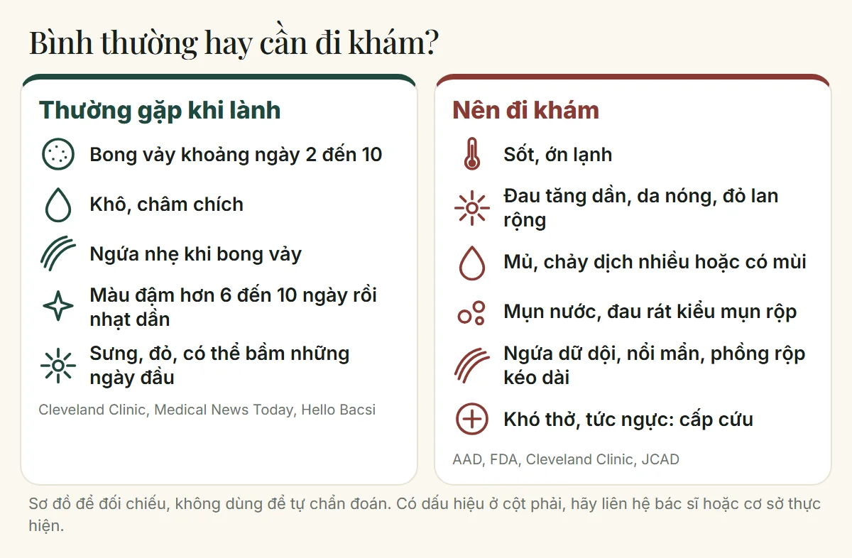 Môi sau phun bong vảy, khô, ngứa: đối chiếu dấu hiệu thường gặp khi lành và dấu hiệu nên đi khám, có biểu tượng cho từng dấu hiệu